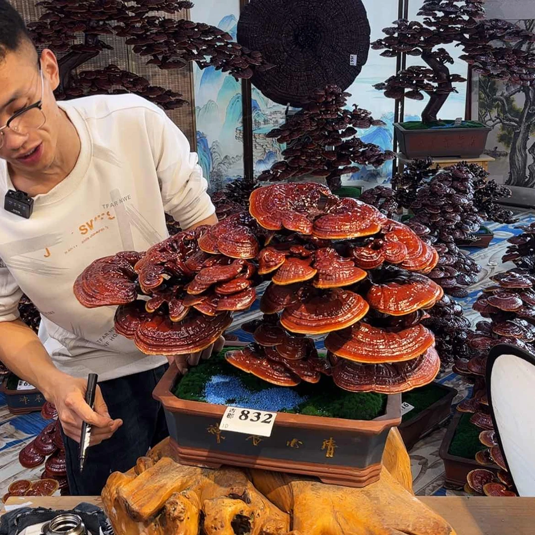 【闪购商品】888888