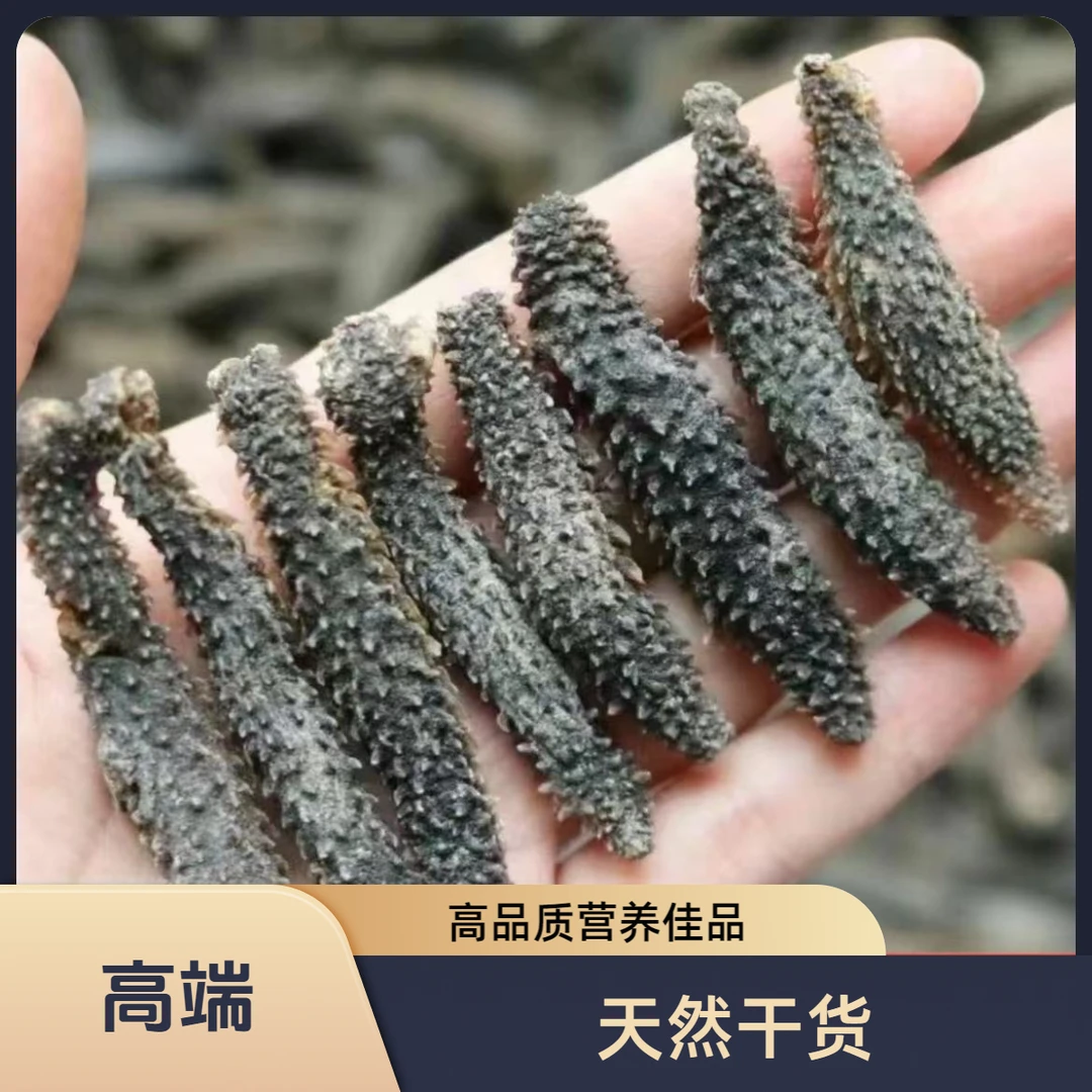150头小刺参鱼胶花胶干货