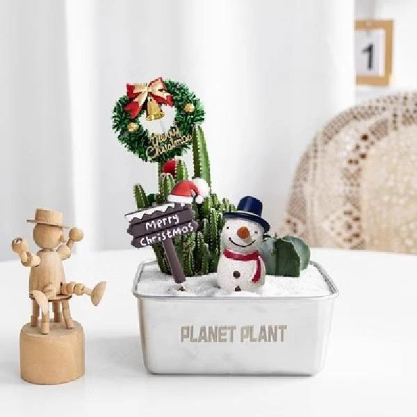 圣诞装饰沙漠便当仙人掌办室内桌面小盆栽植物圣诞创意小礼品送礼