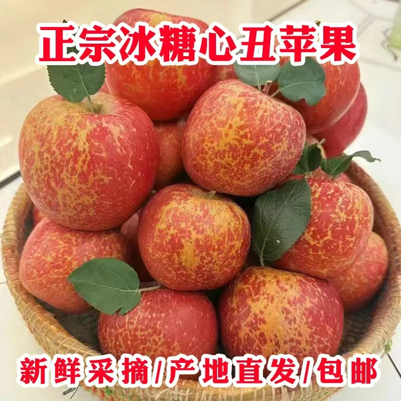 正宗云南昭通应季冰糖心丑超甜脆甜多汁新鲜现摘现发好吃5/10斤包