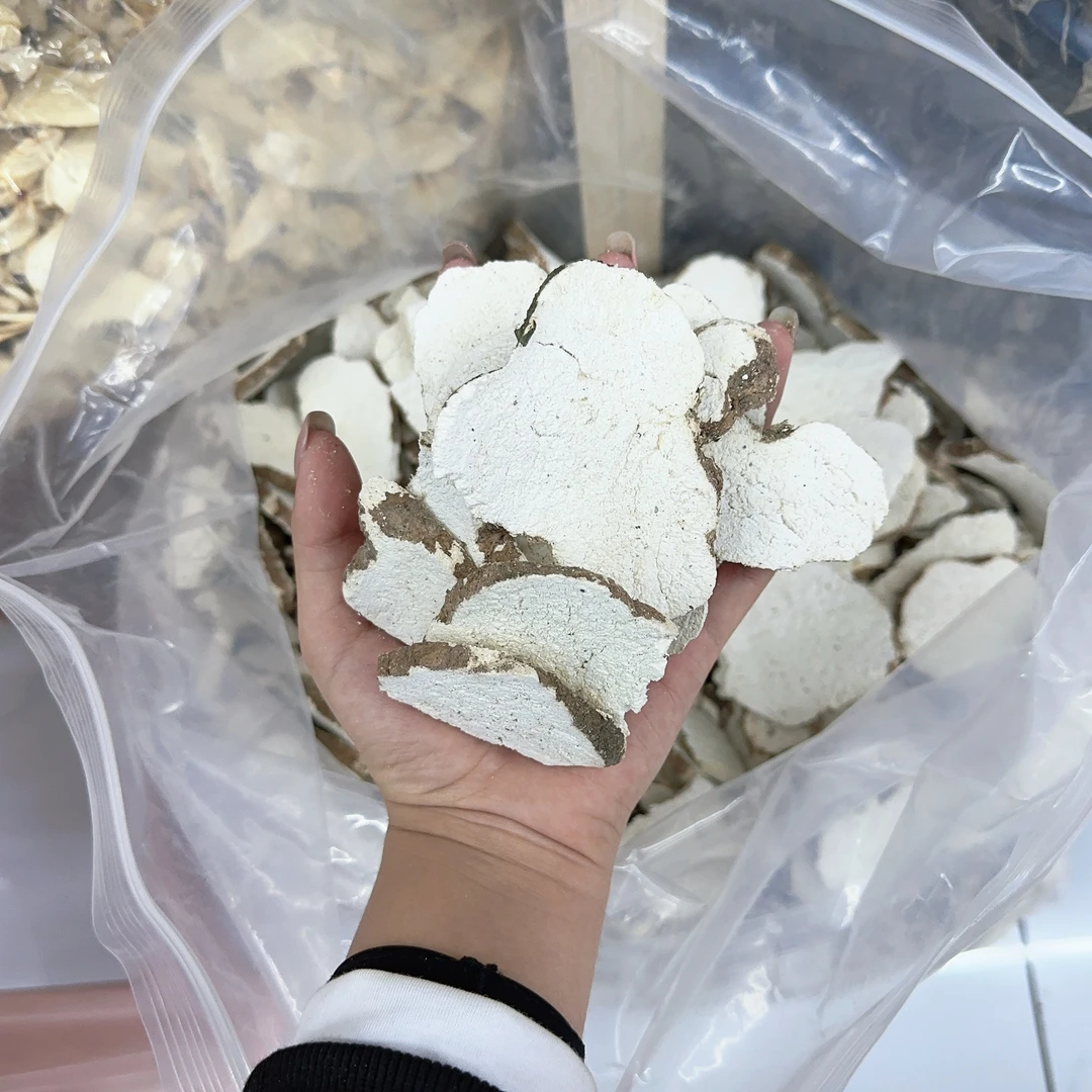 李佳丽甄选云南虎奶菌250g