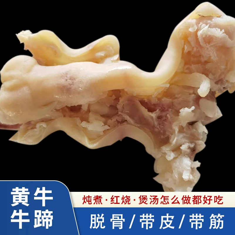 牛蹄去大骨整只发货，国产新鲜黄牛牛蹄熟牛蹄 净重3斤/5斤/10斤