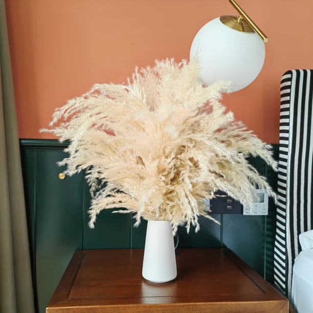 【壹束干花】 干蒲苇  花头70cm