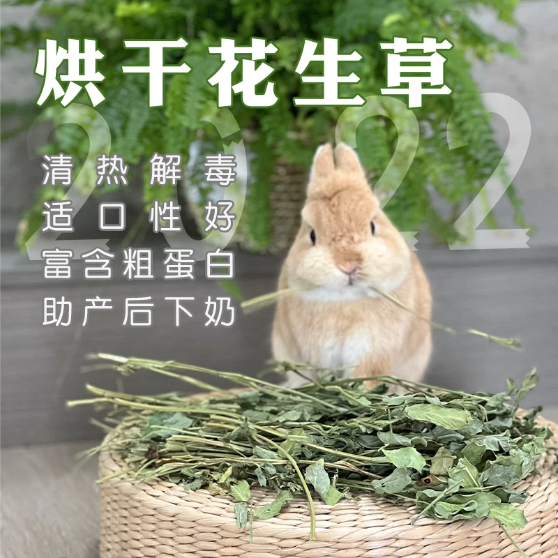 现货 烘干花生草兔子龙猫荷兰猪牧草开胃理气美毛明目干草