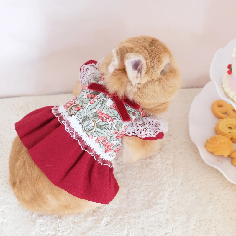 可爱兔子红色蕾丝公主裙小宠外出装饰服饰时尚可挂牵引绳垂耳兔兔
