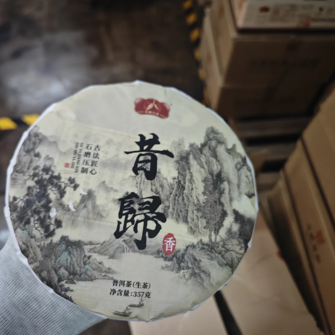 【开明古韵】昔归香生茶357克昔归生茶