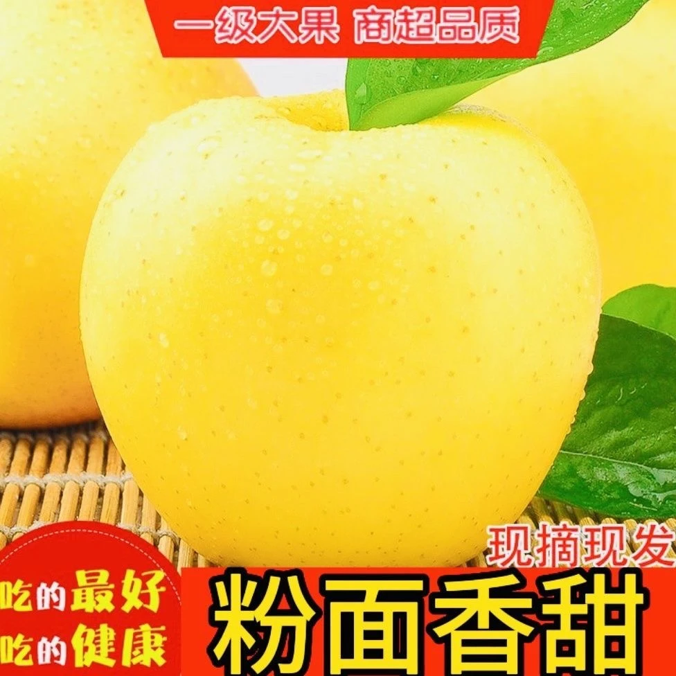 脆脆甜甜爽口大苹果礼包包装红苹果过节送礼包装黄元帅五斤装