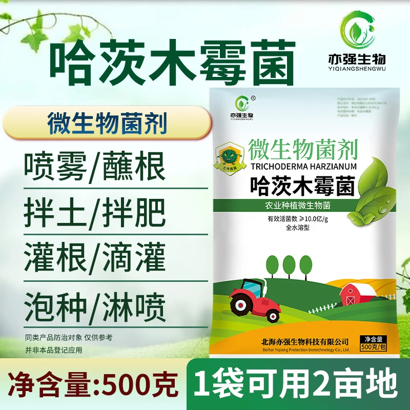 哈茨木霉菌 降低土传危害灰霉霜霉等促进作物生长减少危害