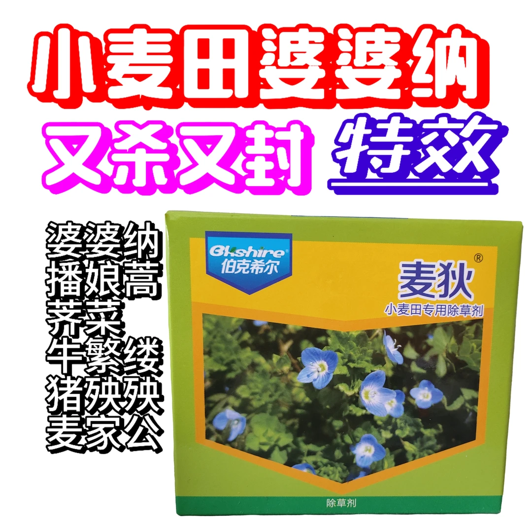 小麦田婆婆纳播娘蒿荠菜阔叶菜除草剂