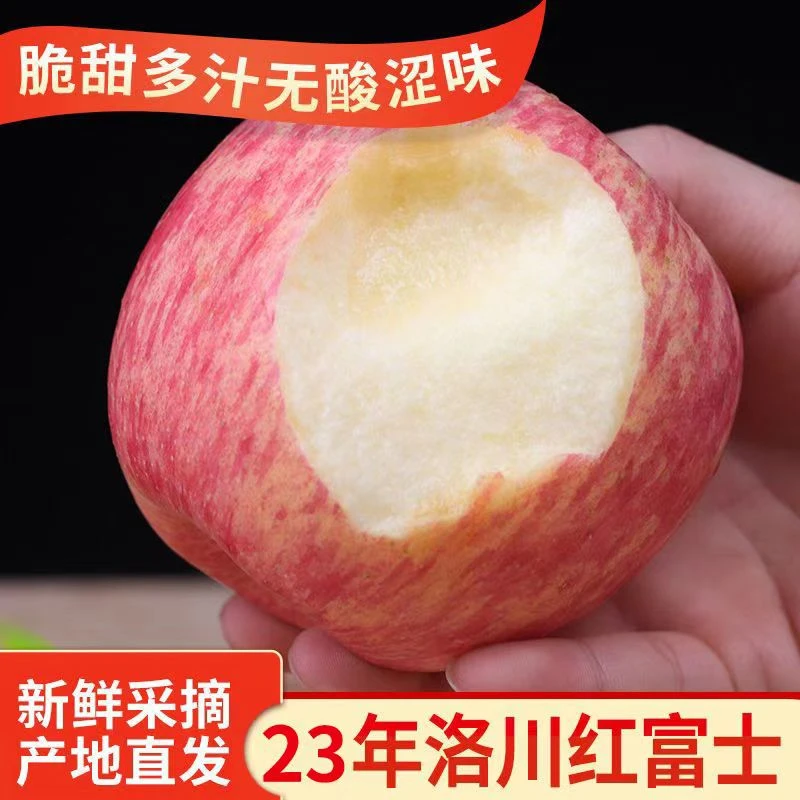 hanguo/涵果陕西延安洛川苹果水果10斤大果现摘整箱脆甜新鲜