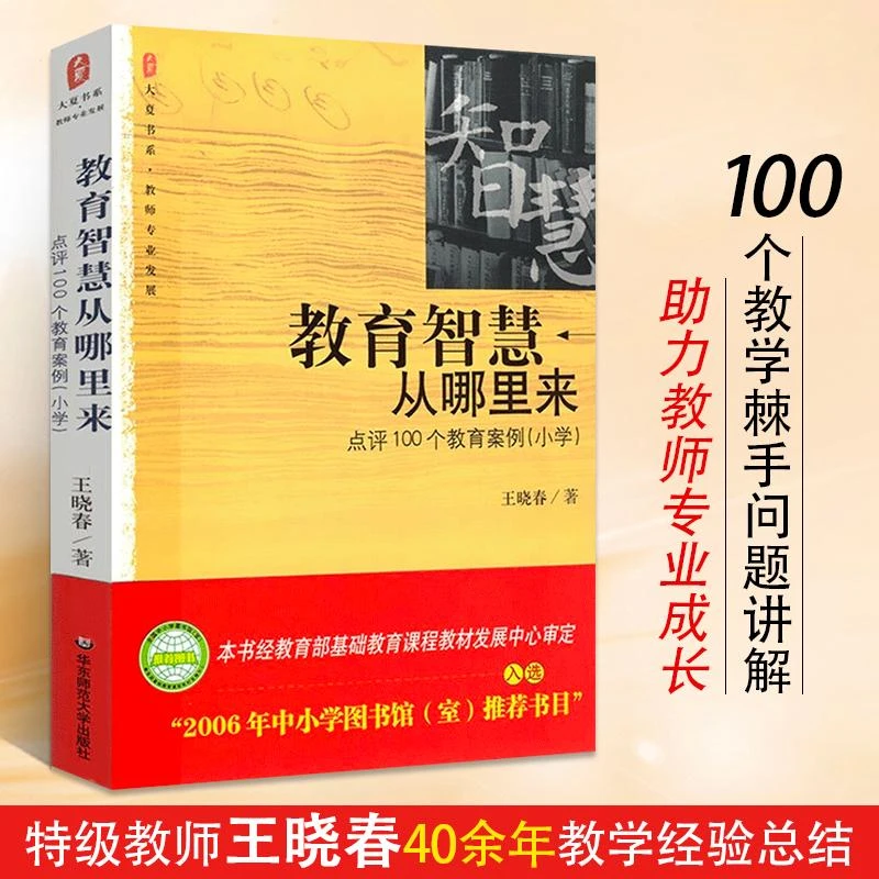 教育智慧从哪里来 点评100个教育案例 小学 大夏书系 问题学生诊