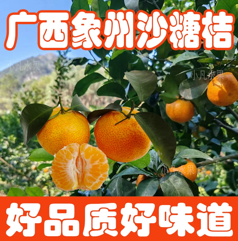 【顺丰包邮】广西正宗砂糖橘沙糖桔纯甜无酸橘皮薄多汁新鲜现摘现