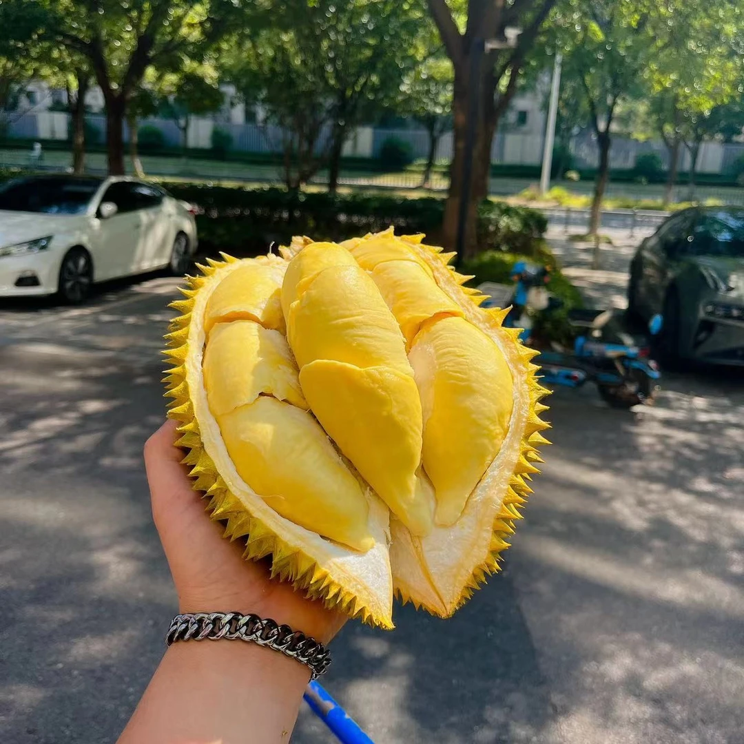 1号树上熟金枕头榴莲68一份1斤【干包肉】