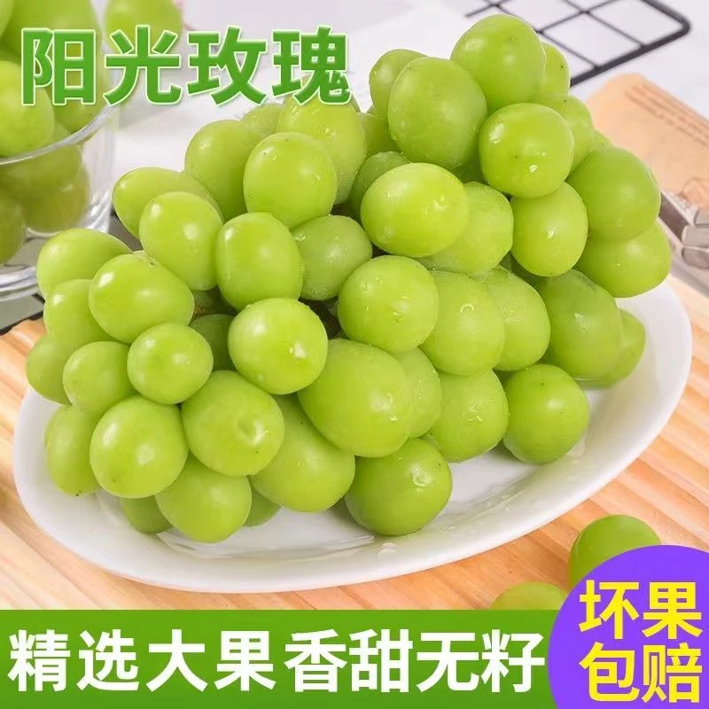 新鲜阳光玫瑰葡萄 晴王无籽香印青提0.5-4斤装【冷链空运】果园发货