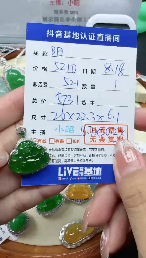 【闪购商品】翡翠颈饰18K金镶嵌寄售回流，不退不换