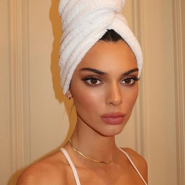 钛钢项链 【肯豆kendall海狸同款】时髦简约蛇骨链叠戴百搭女欧美