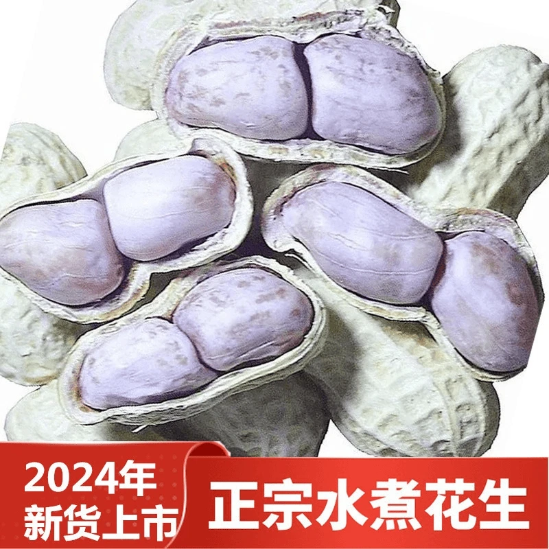 2024年新货农家水煮花生晒干天然日晒咸干花生(香韧有嚼劲)下酒菜
