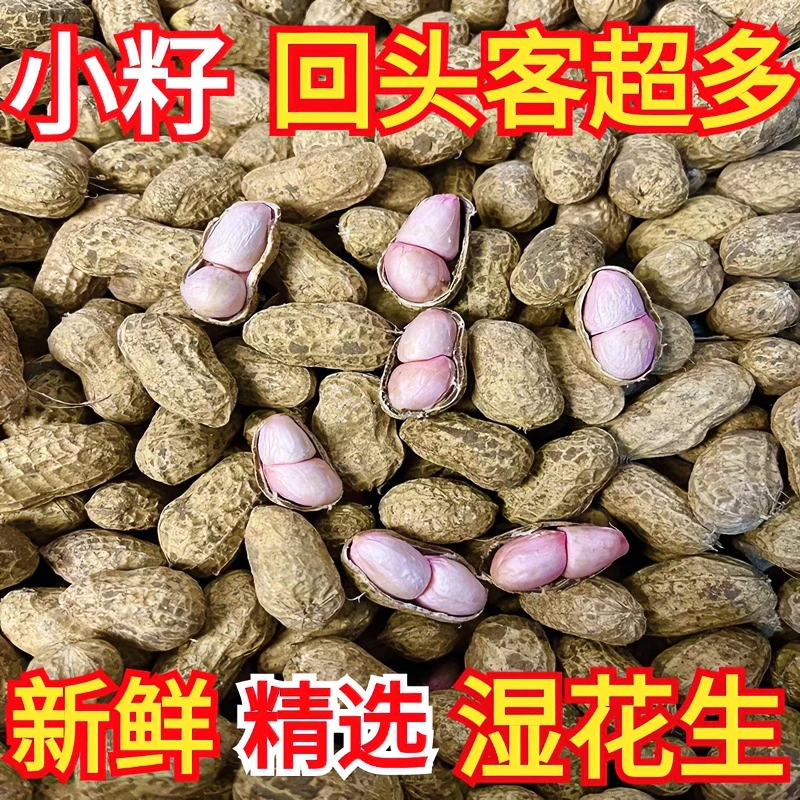 25年湿花生小白沙小花生脆甜回香出油率高可做盐水花生包赔新鲜
