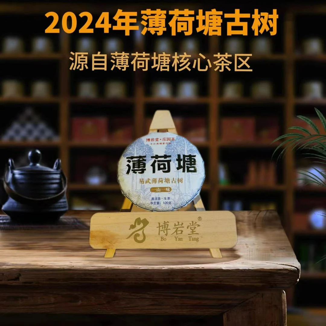【福袋】2024年 薄荷塘古树 普洱茶（生茶）100克/饼【带茶样】