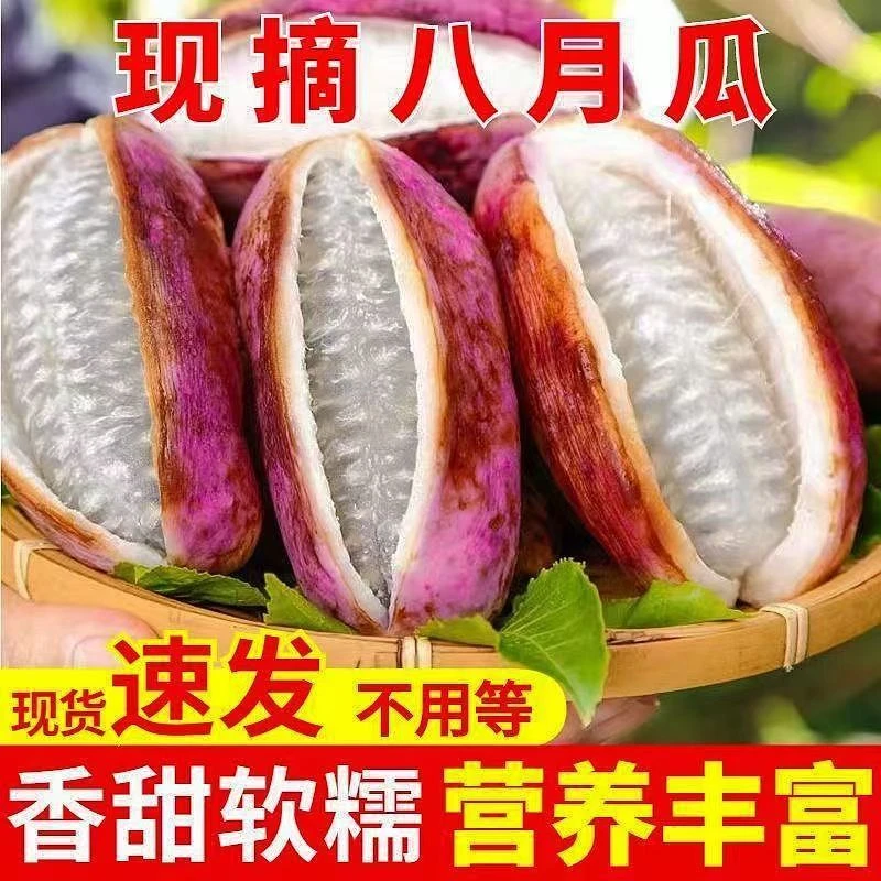 【现摘现发】深山八月瓜新鲜水果预知子孕妇果多仓发货1/3/5斤