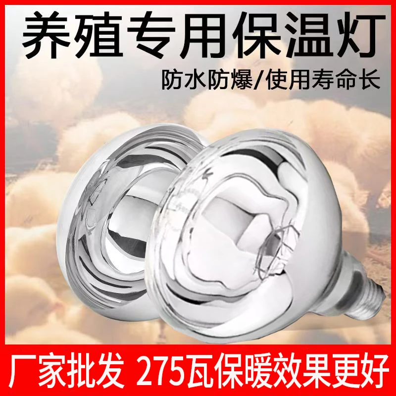 养殖专用取暖保温灯