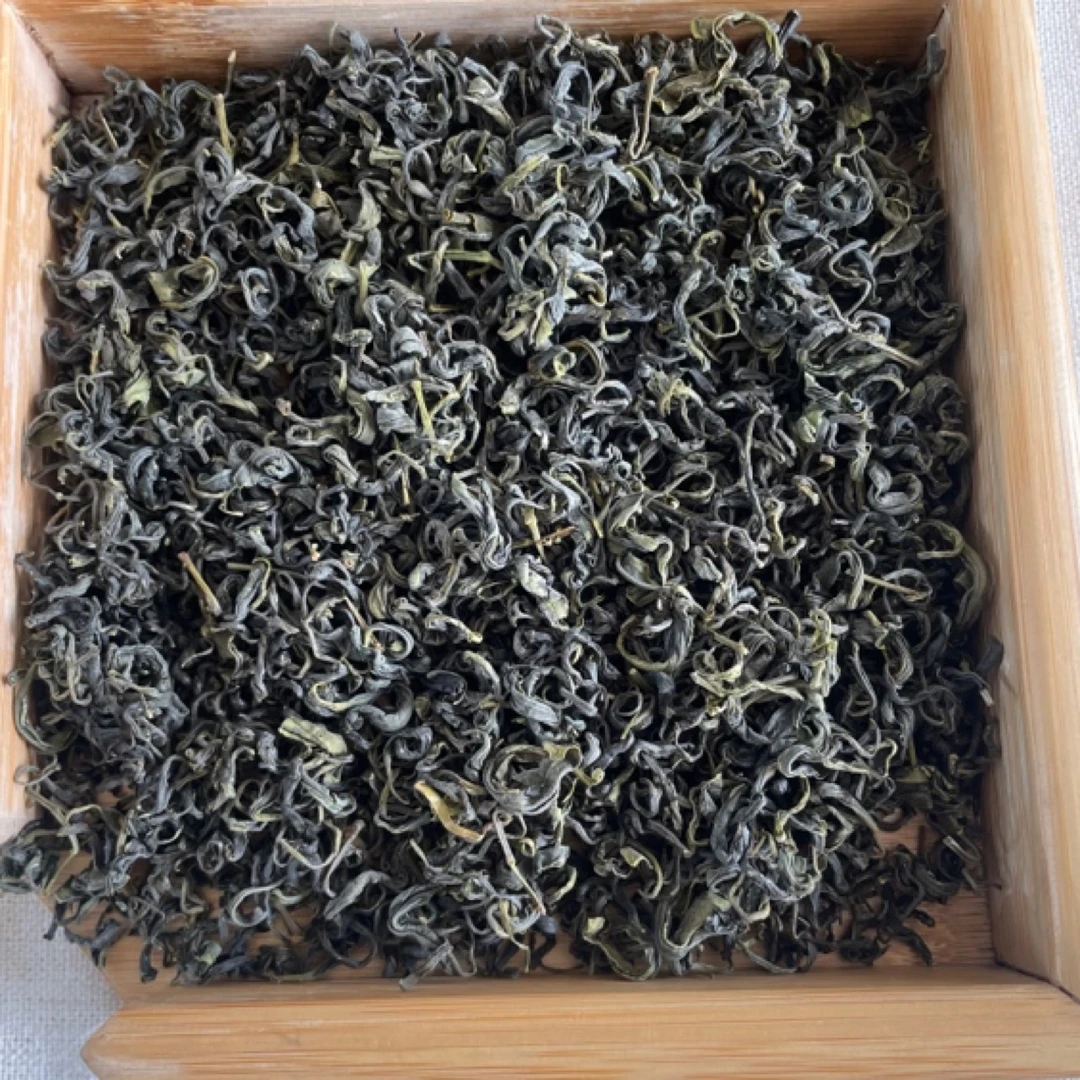 崂山绿茶2025年九月秋茶卷曲茶 滚筒工艺 豆香浓郁沙口好耐冲泡