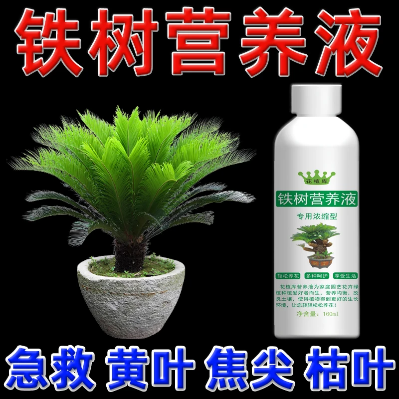 【拍2发4瓶】铁树专用营养液铁树盆景肥料苏铁盆栽专用肥叶面肥