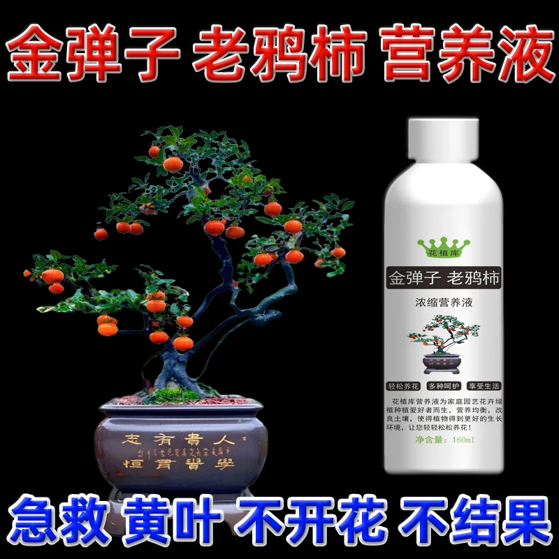 金弹子专用肥挂果肥料老鸦柿营养液盆景黄叶爆根催花保果肥