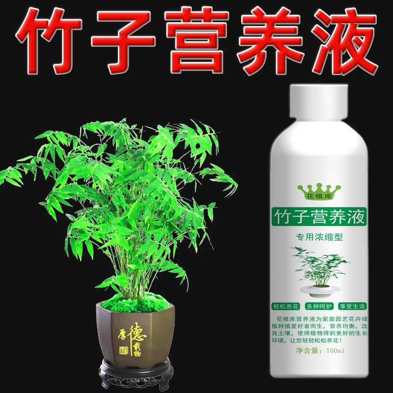 竹子专用营养液毛竹肥料罗汉竹专用肥簕竹盆景文竹黄叶家用肥料