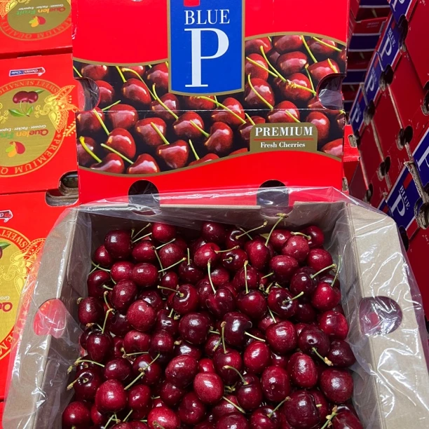 《2J蓝p牌拉宾斯》智利车厘子5斤礼盒脆纯甜