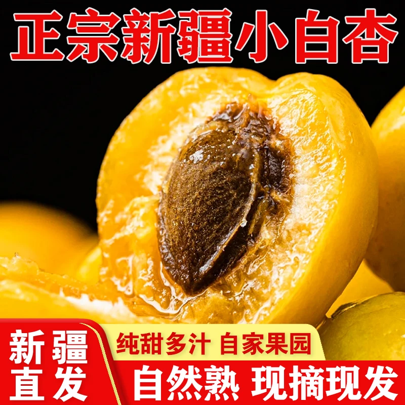 陇原心选新疆轮台小白杏现摘现发原产地发货当季水果甜杏2/3/4斤