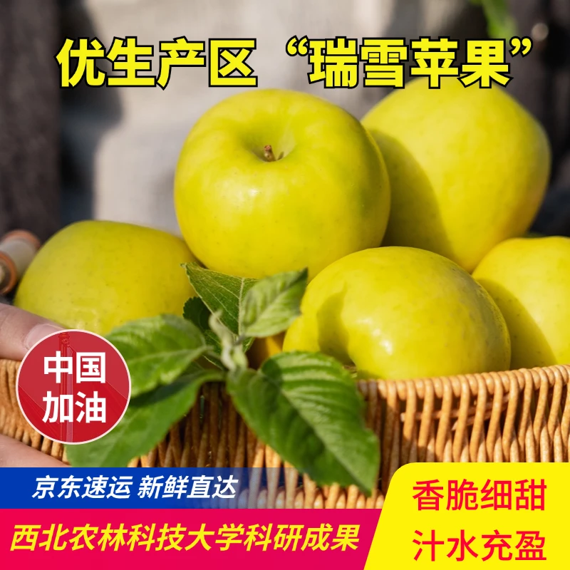 陇原心选陕西白水瑞雪苹果新鲜当季水果纯甜无酸清脆苹果5斤/6斤