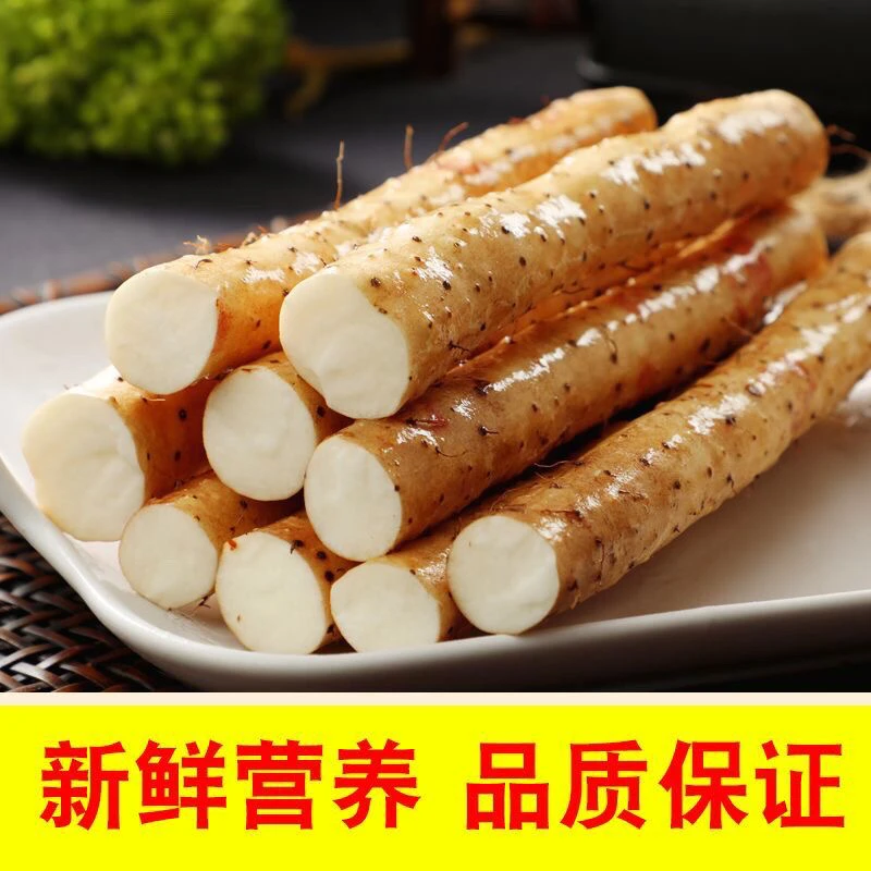 【超值挖断5斤装】甜糯面甜铁棍山药淮山药小白嘴山药