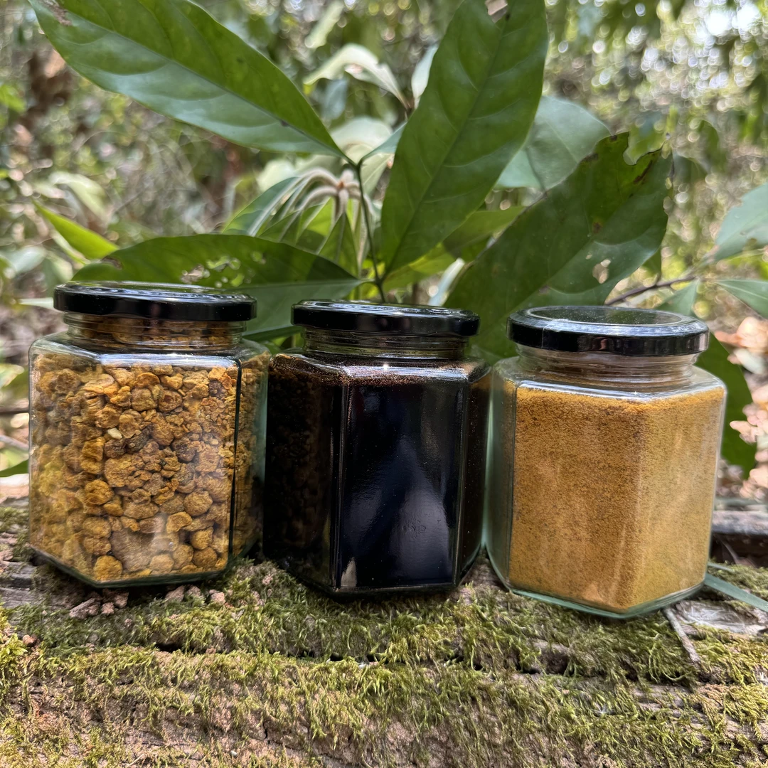 米团花黑蜜 土酸蜂花粉 2斤黑蜜1斤花粉 组合装稀有蜂蜜