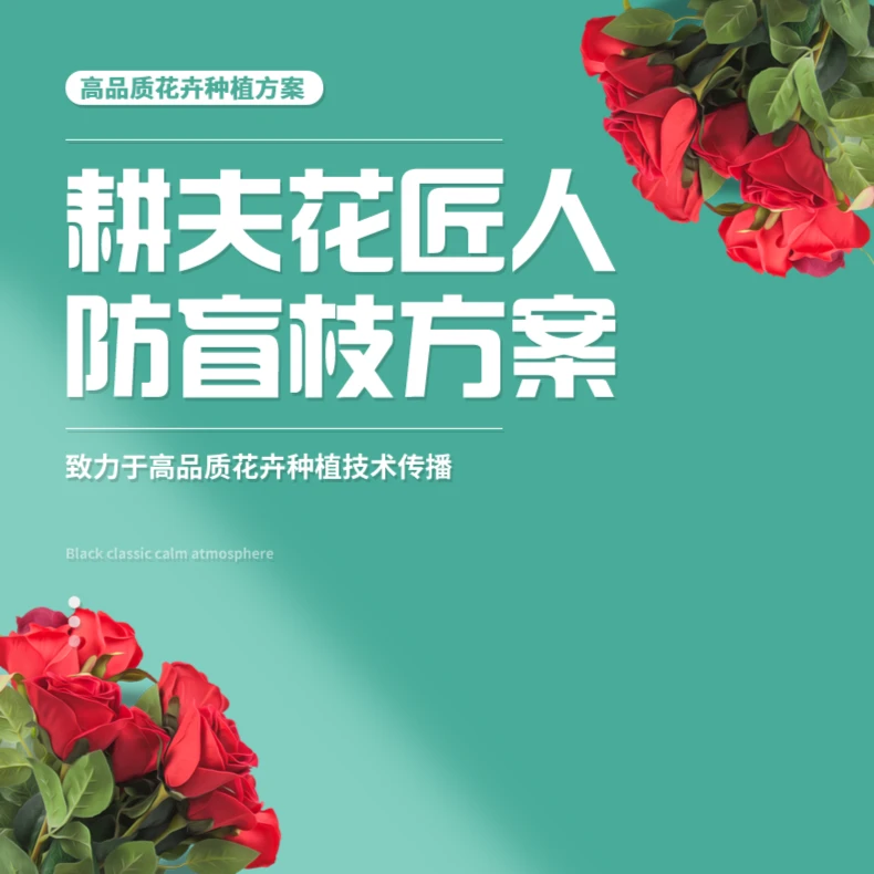 花卉防盲枝方案（100桶水）