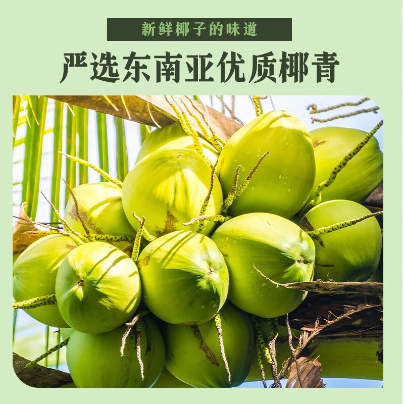 周乐美鲜椰汁2小时鲜榨锁鲜 椰子水 每一口都很鲜 246mL