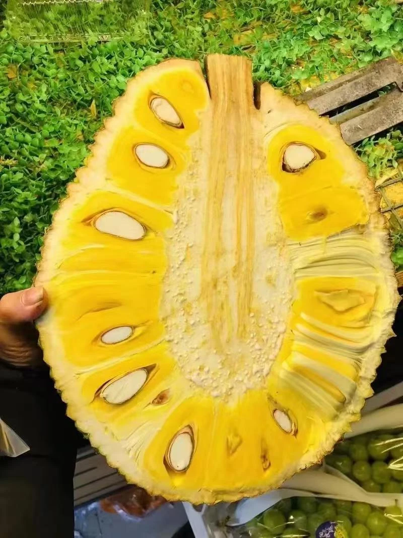 越南红肉菠萝蜜A果一个（9-12斤）