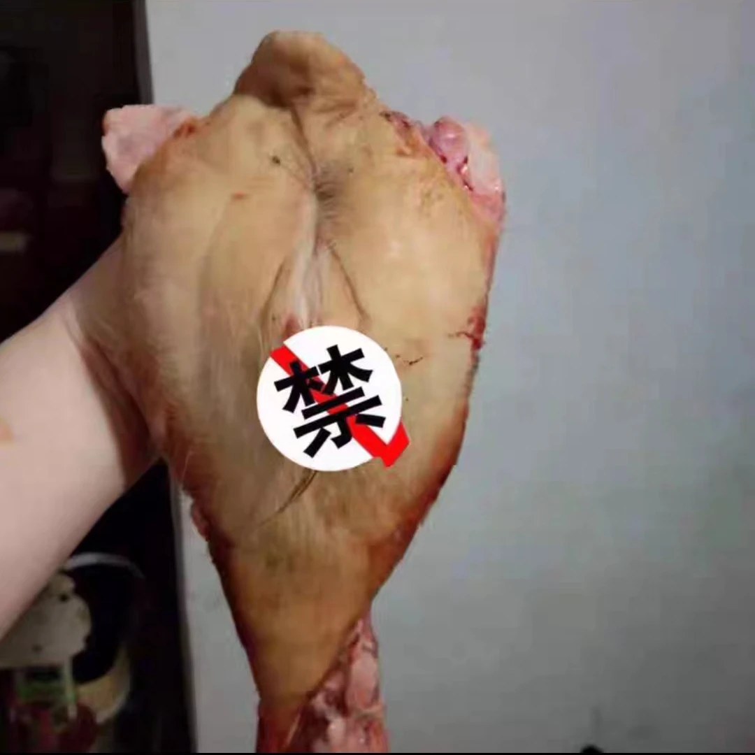 连云港  小黄牛  新鲜牛欢喜