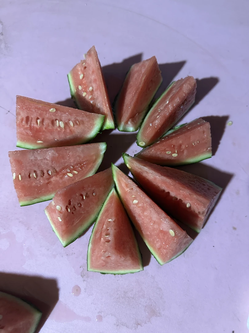 【顺丰包邮京津冀专拍】正宗庞各庄头茬小西瓜3-4粒14-16斤破损包赔