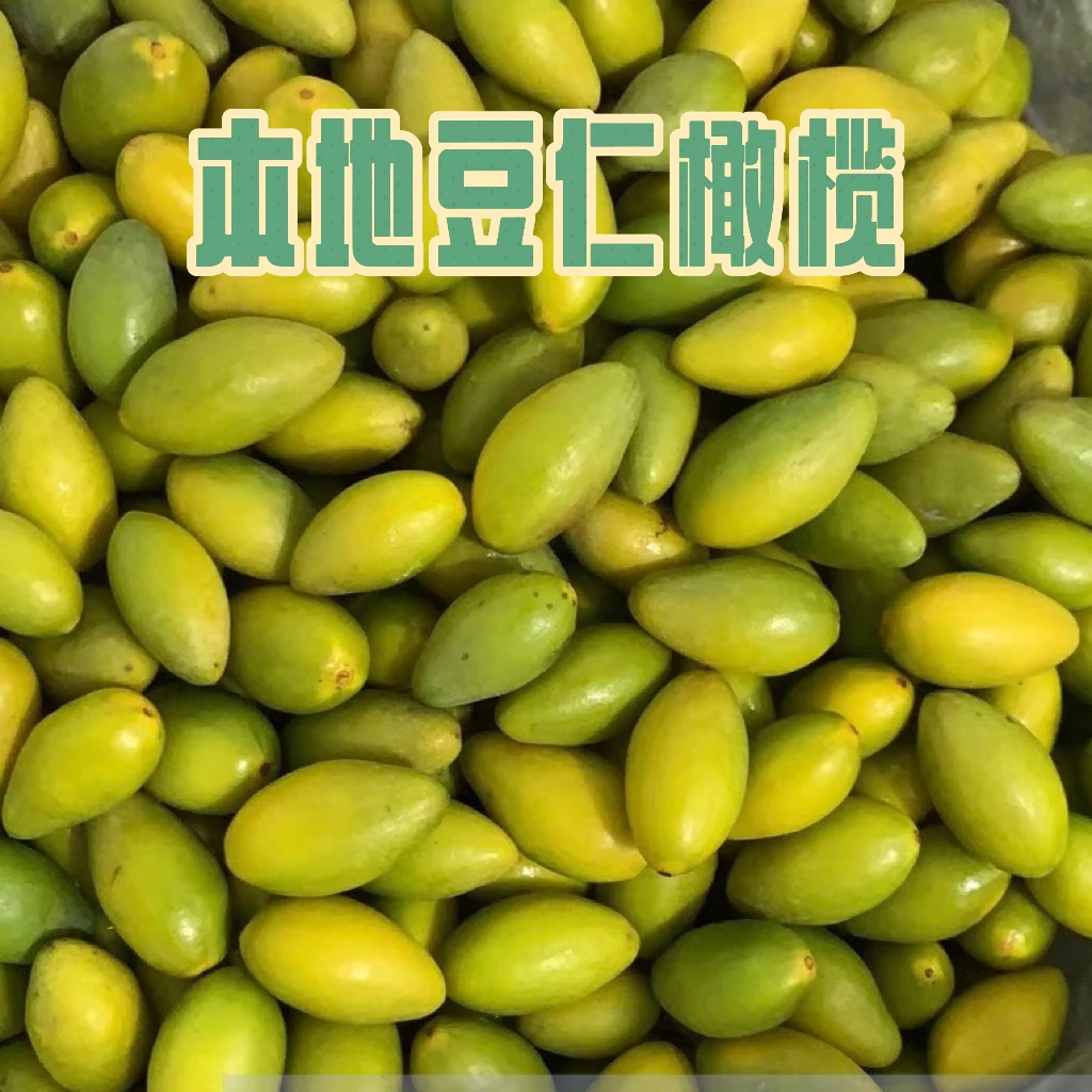 潮汕金黄豆仁橄榄脆香橄榄金灶本地豆仁橄榄橄榄