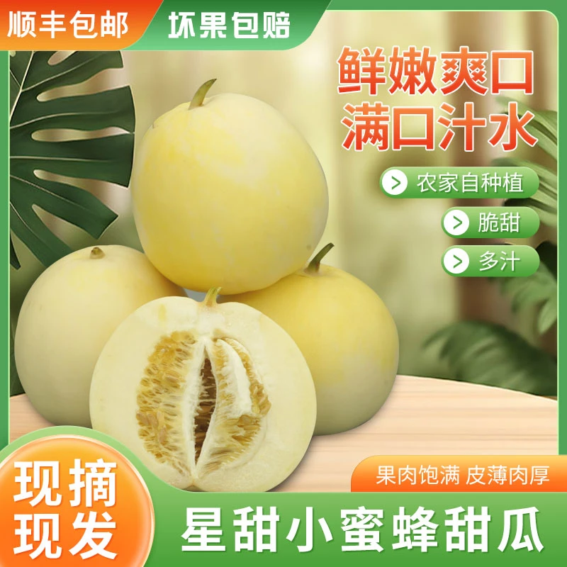 【顺丰包邮】山东小蜜蜂甜瓜早甜脆小蜜罐新鲜香瓜星甜20当季水果d