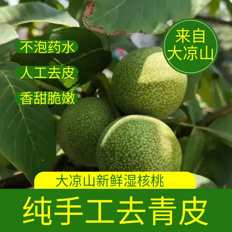 （顺丰）四川大凉山2025新鲜湿核桃人工去青皮生核桃当季孕妇水果