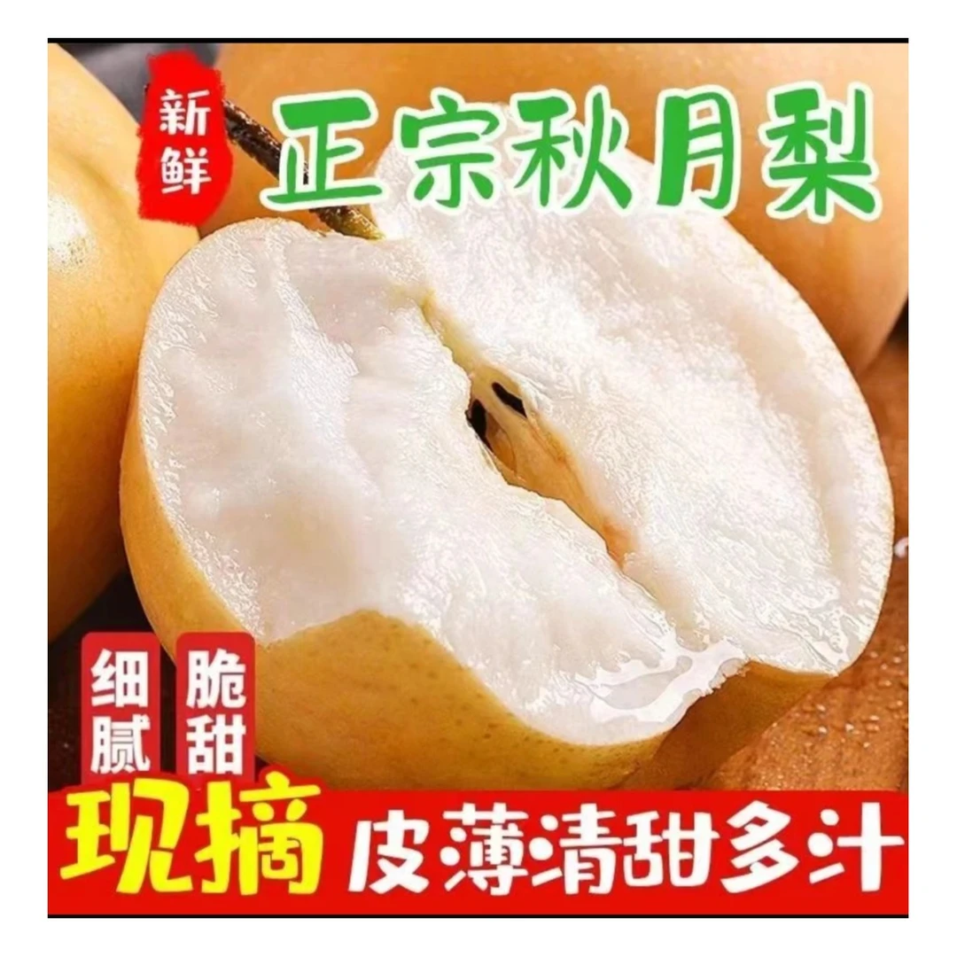 【保真新果】正宗山东莱阳秋月梨现摘现发纯甜无酸皮薄爆汁入口化渣