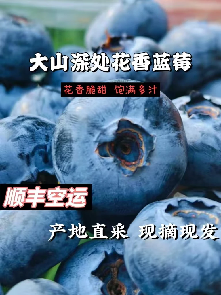新鲜采摘脆甜花香蓝莓顺丰包邮