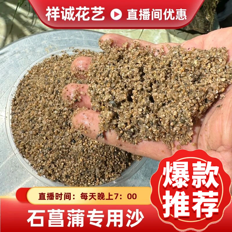 河沙精选细沙（石菖蒲专用）优质