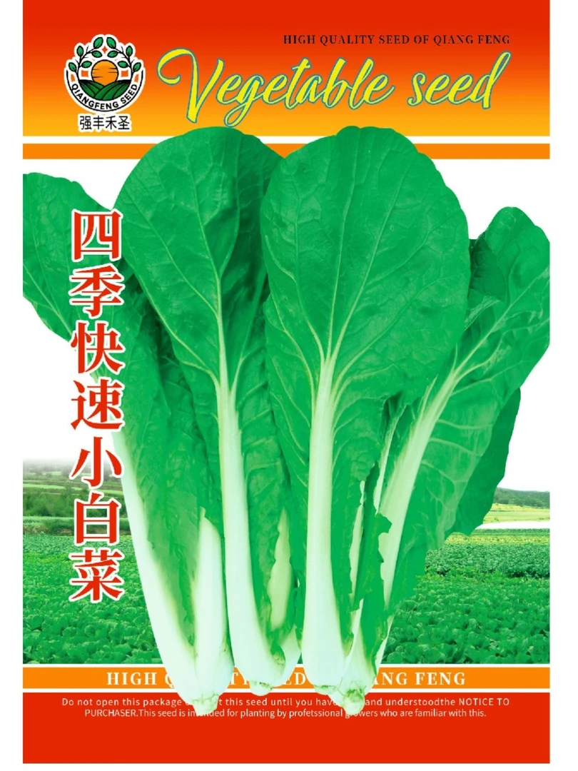 四季快速小白菜种籽白帮青梗速生早熟小白菜种子耐热耐寒蔬菜种子