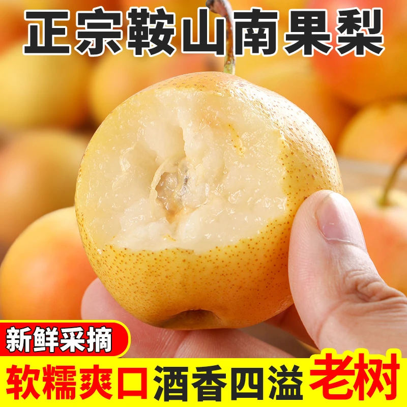 鞍山南果梨5斤新鲜水果老树笨南果梨东北特产南国梨酒香梨1斤包邮