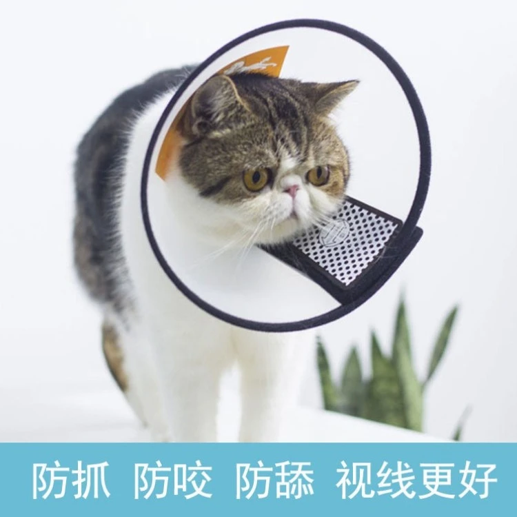 伊丽莎白圈狗狗猫咪项圈脖套防舔咬圈软伊莉莎白圈宠物头套项圈