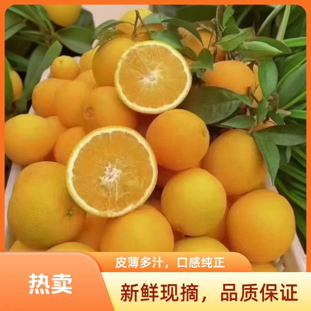橙子赣南脐橙 皮薄多汁口感纯正新鲜采摘产地橙子正宗赣南脐橙