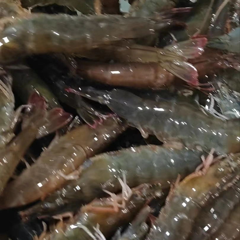 拨虾仁海水大虾【新鲜】河北北京慎拍